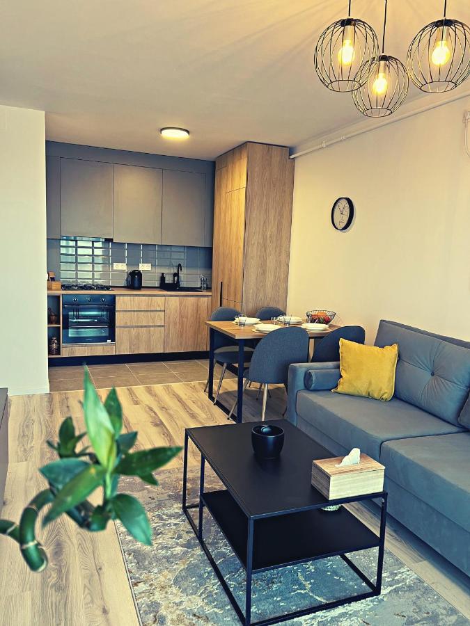Panoramic Forest View Apartment Dumbravita  Εξωτερικό φωτογραφία